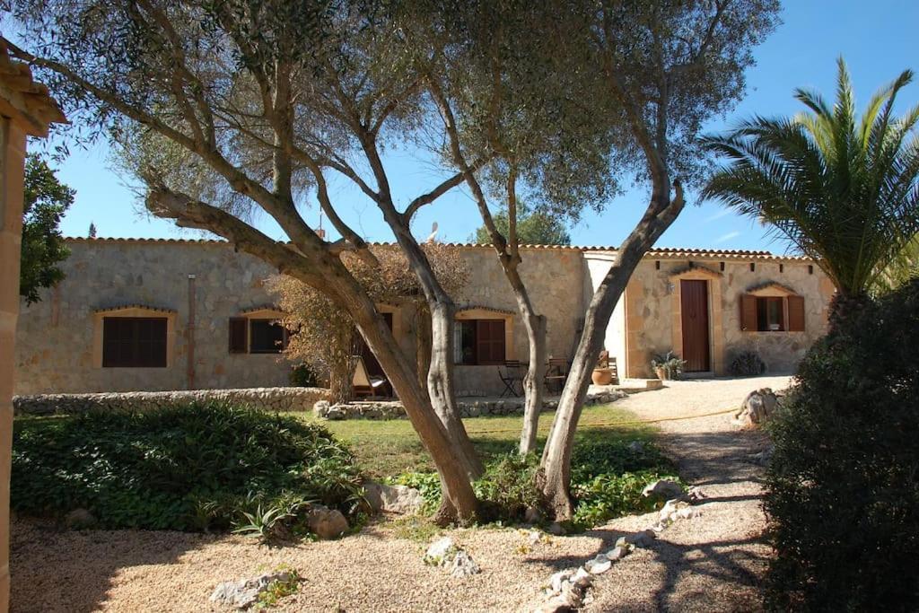 Vakantiehuis Casa Rubi With Pool And Ocean View Son Carrio (Llevant)