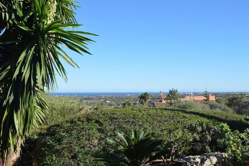 Vakantiehuis Casa Rubi With Pool And Ocean View *